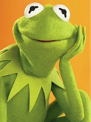 kermit.jpg, 27 KB